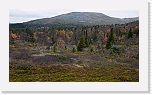 autum colors of taiga-1180419 * 900 x 506 * (535KB)